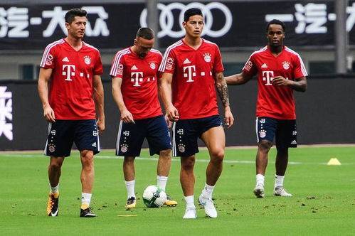 德甲 拜仁慕尼黑与云达不来梅